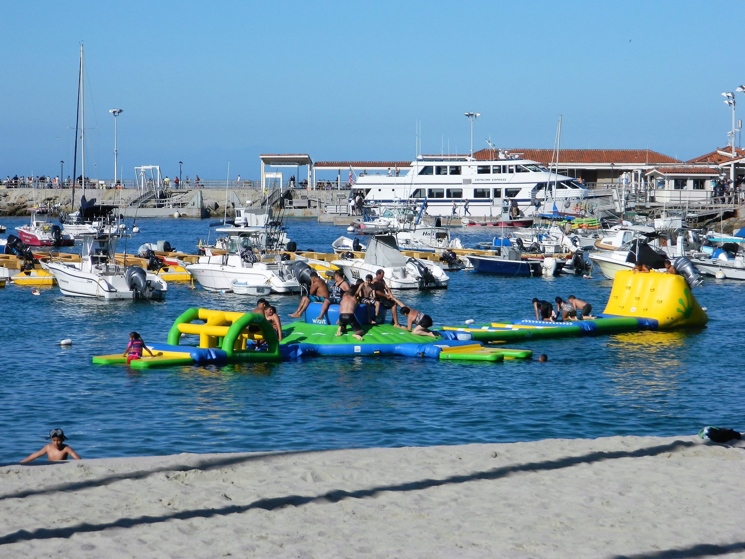 Catalina Buzz June Catalina Events Catalina Tours