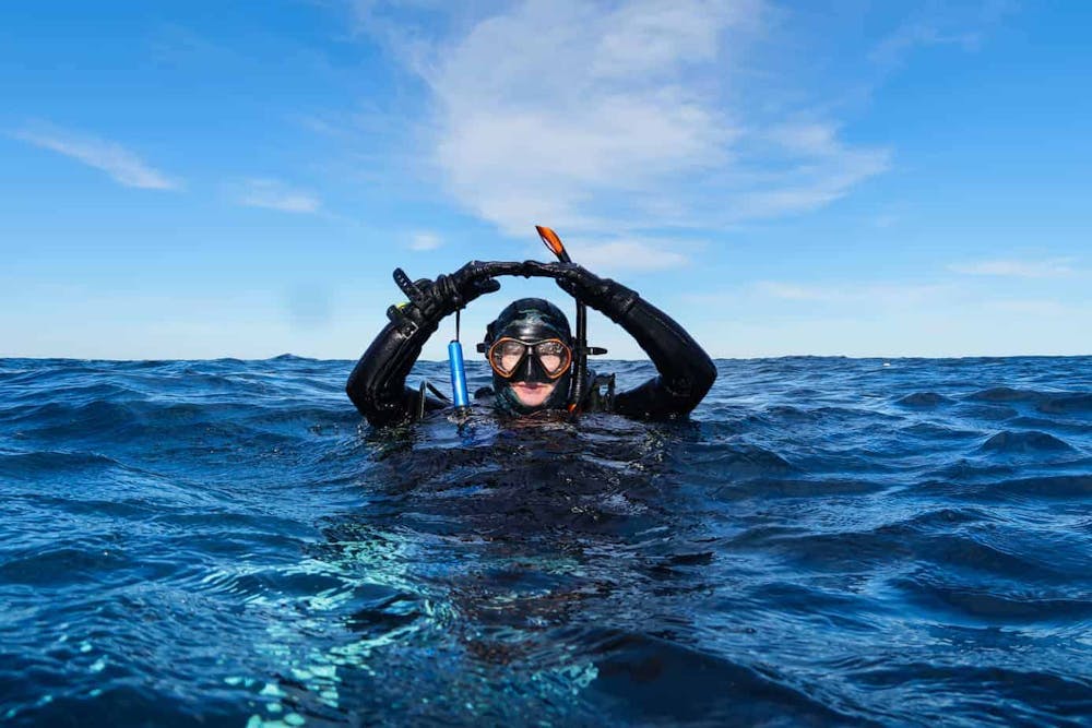 The Six Rules Of Scuba Diving