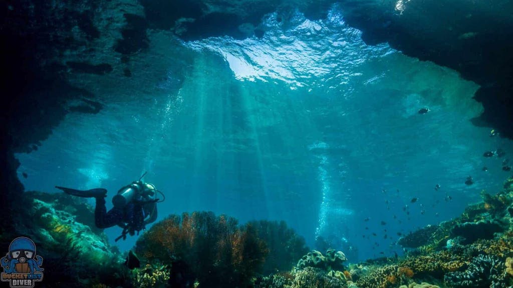 underwater view of the water