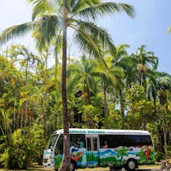 uncle brian's rainforest tour