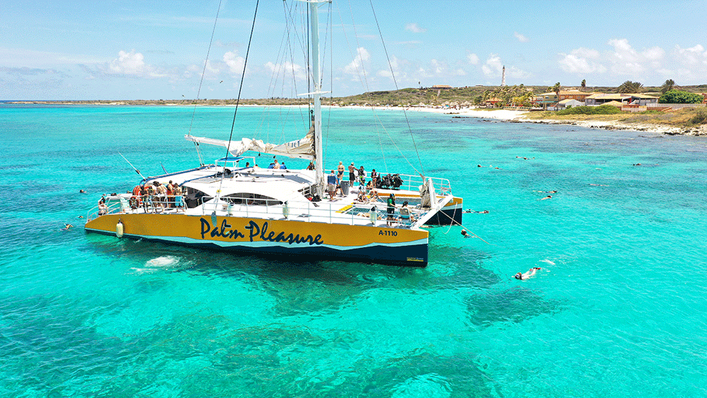 de palm tours aruba catamaran