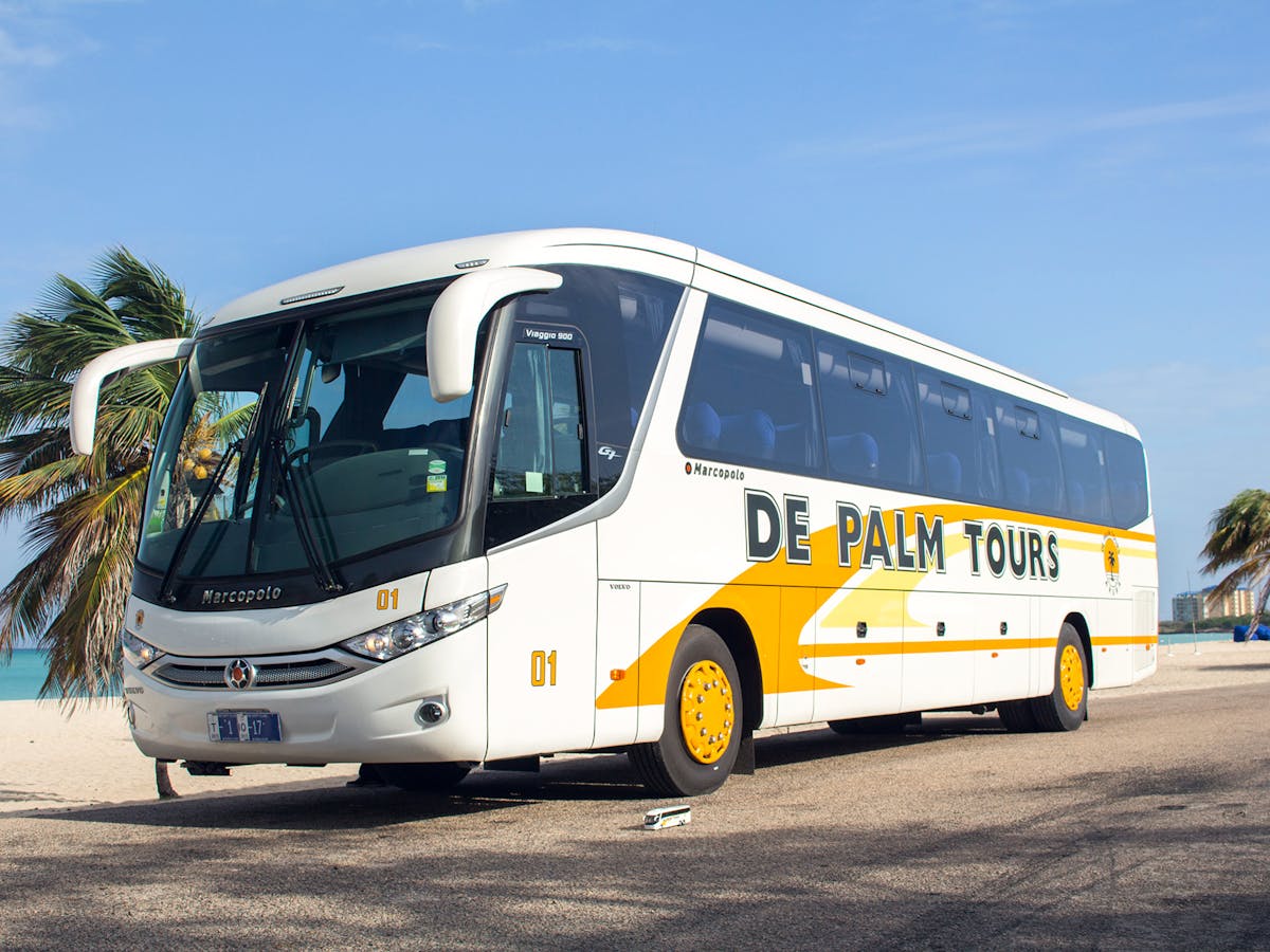 De Palm Tours bus
