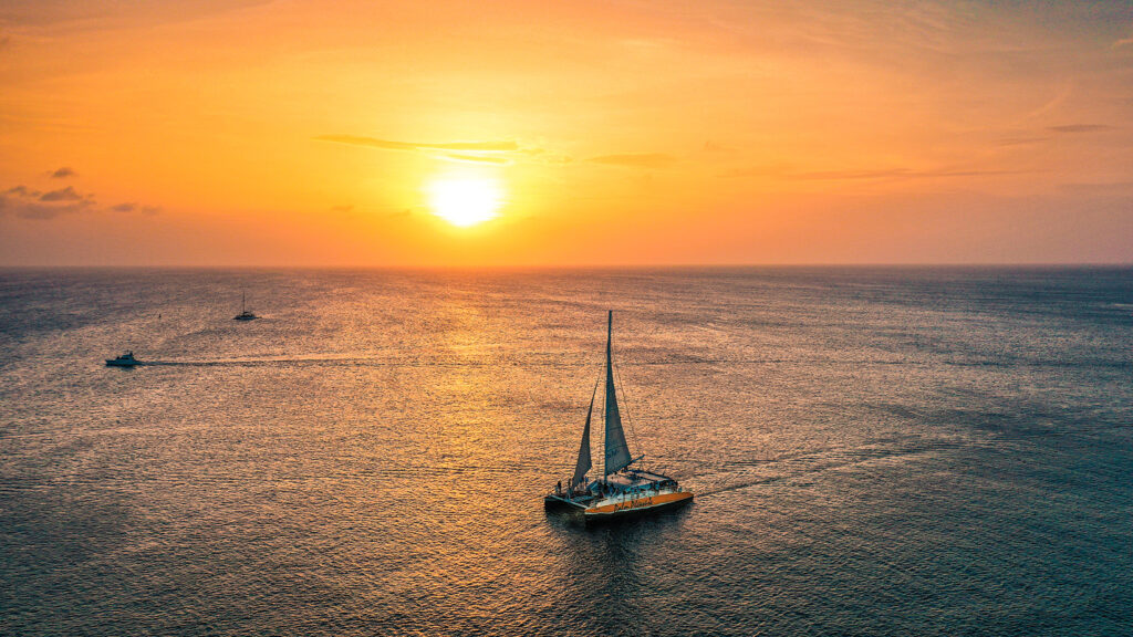 sunset sail de palm tours
