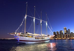 Tall Ship Windy at night