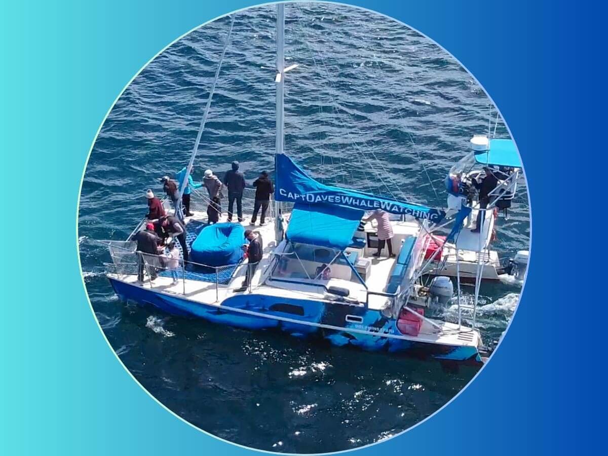 Catamaran DolphinSafari available for burial at sea