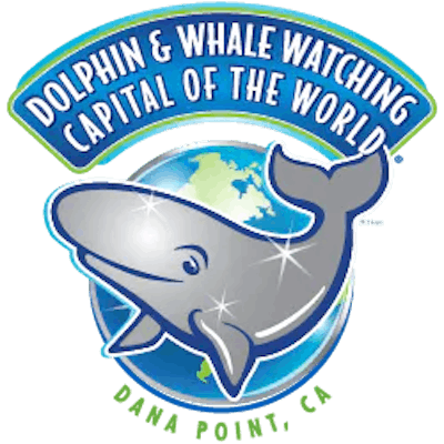 Dana Point Whale Watching, Save 20%