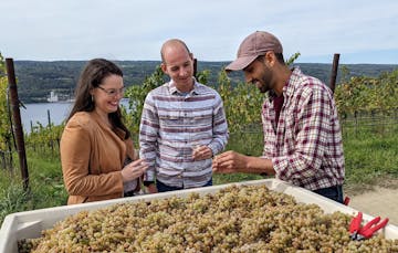 a couple of people on a vineyard tour