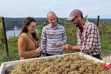 a couple of people on a vineyard tour