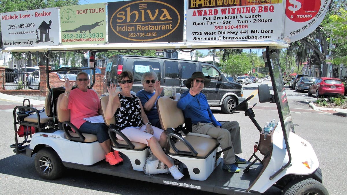 Amusement Park Electric Shuttles and Theme Park Golf Carts