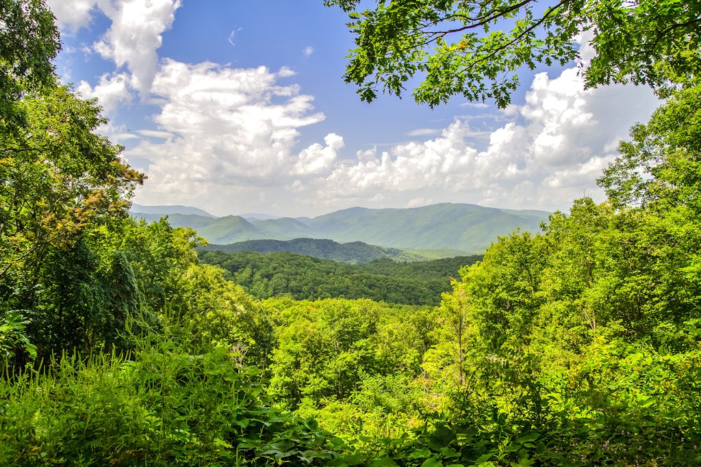 Scenic Views Smoky Mountains