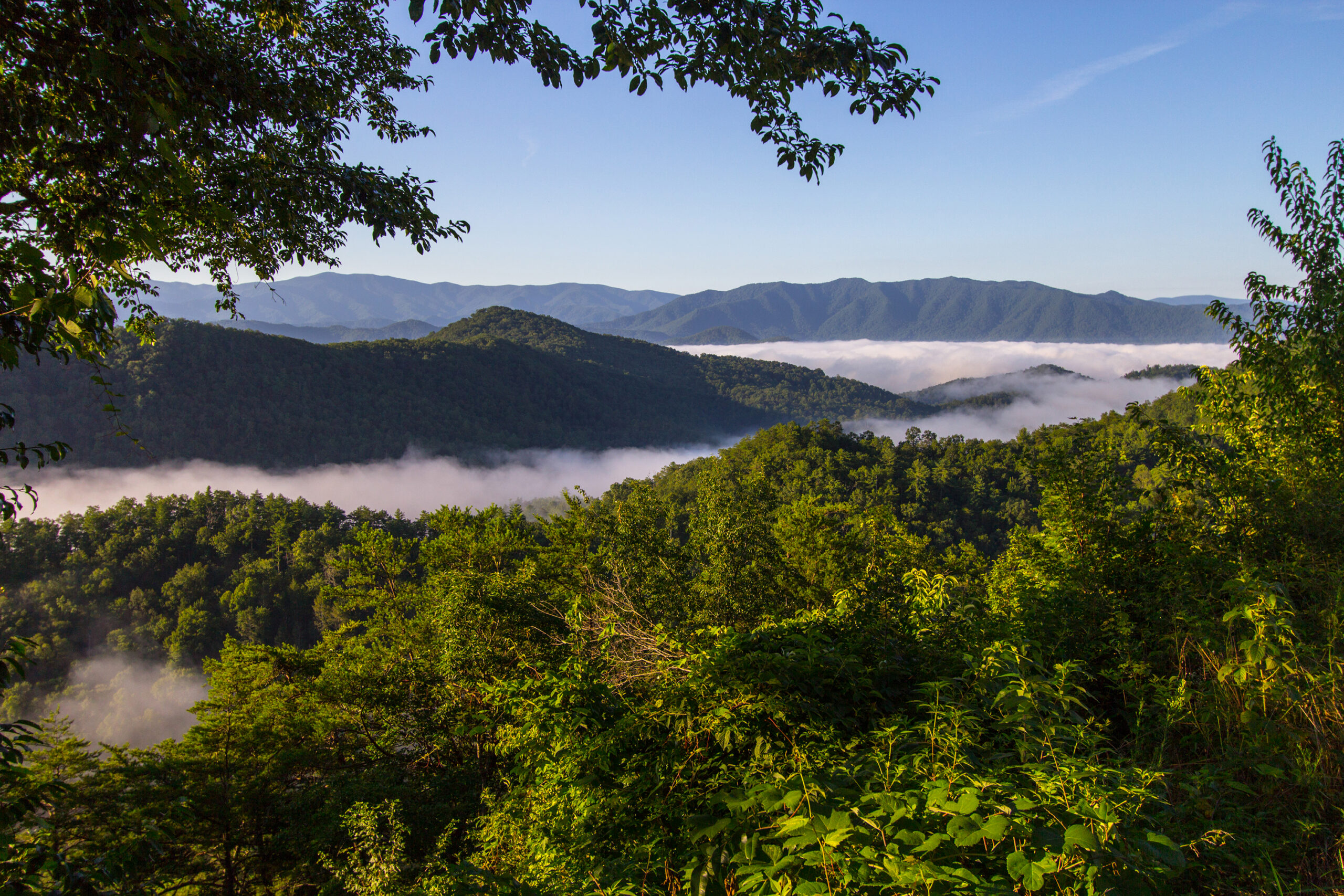 diamond tours smoky mountains