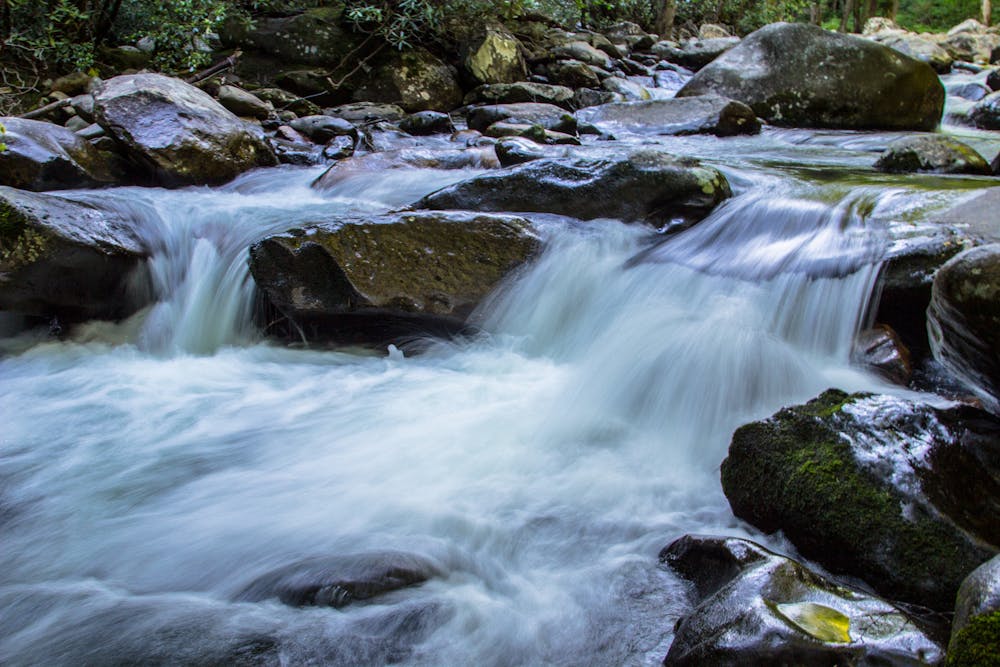 Roaring Fork Motor Nature Trail is one of the Smoky Mountains Jeep Tours guided tours.