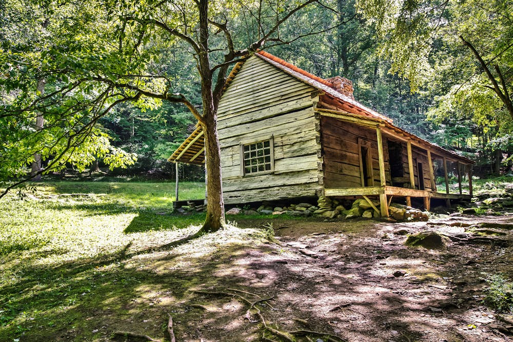 Cabin Along The Roaring Fork Trail