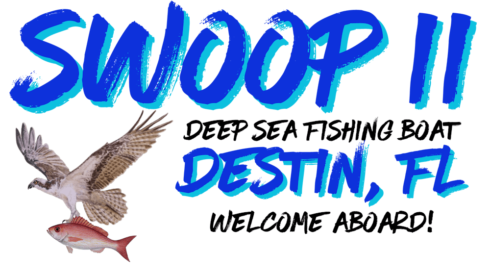Swoop II Party Boat Fishing Charters