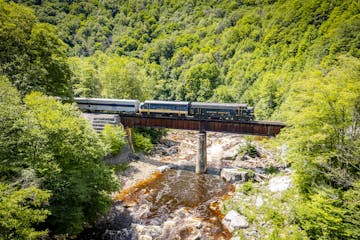 a train that is sitting on a bench next to a forest
