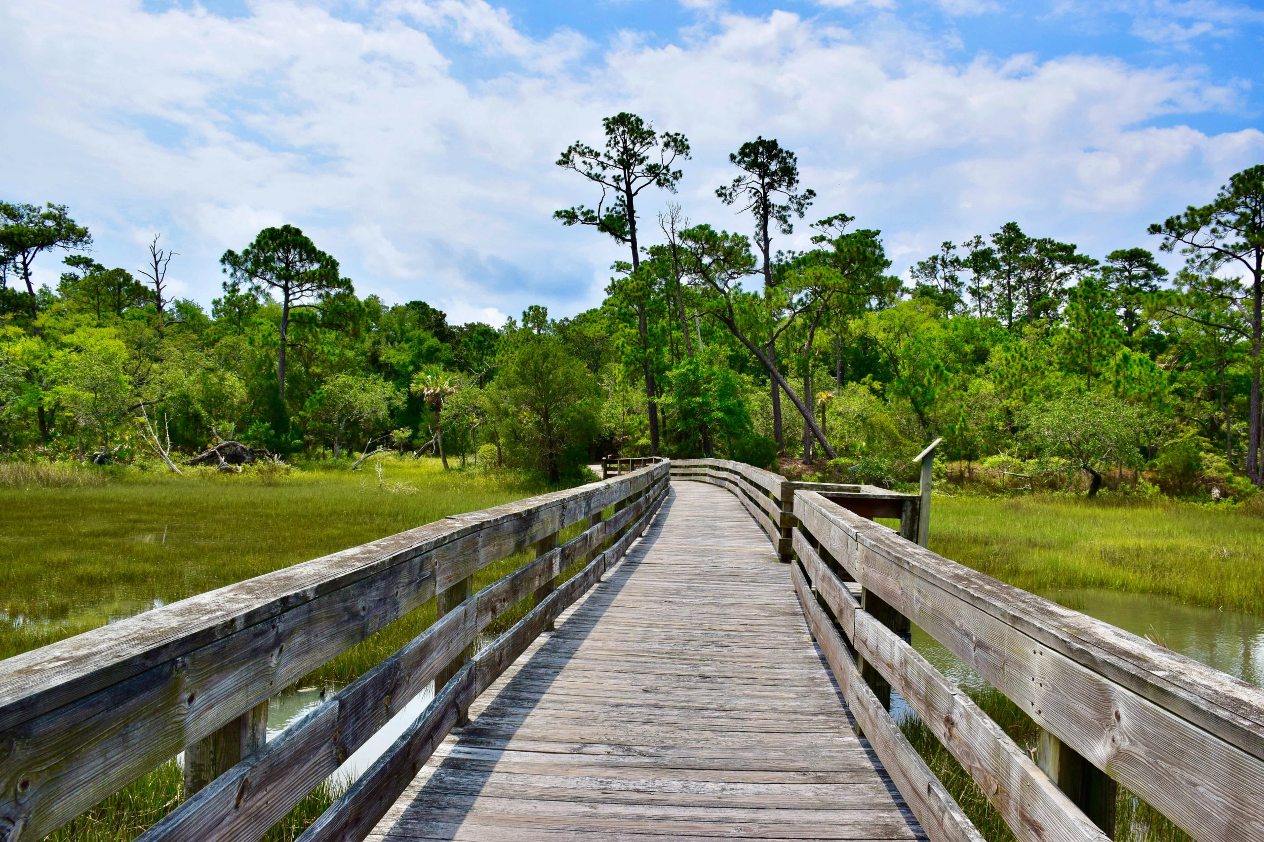 5-epic-day-trips-from-charleston-sc-charleston-activities