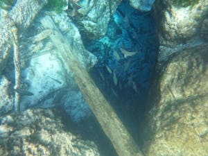 underwater view of a large rock