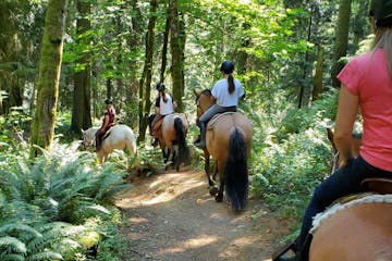 a person riding a horse in a forest