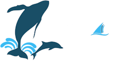Captain Dave’s Dolphin & Whale Watching Safari
