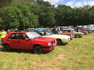 Classic vehicles on display in a field
