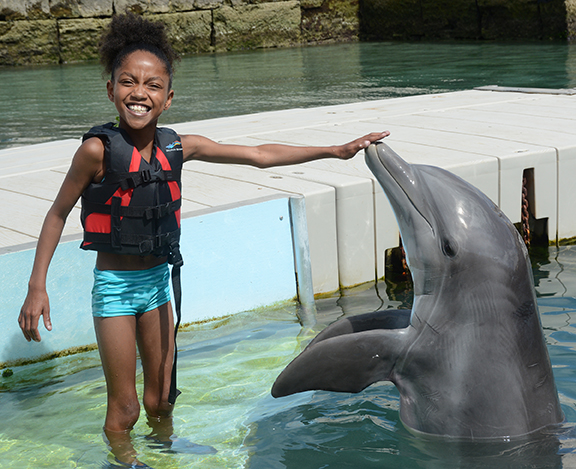 News | Dolphin Quest Bermuda Celebrates With Kandice