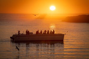 Behold the breathtaking beauty of Elkhorn Slough during a mesmerizing sunset, captured aboard the enchanting El Cat vessel. Nature's masterpiece unfolds as the warm orange hues dance upon the tranquil waters, creating an unforgettable experience. #ElkhornSloughMagic #SunsetSplendor #ElCatExperience