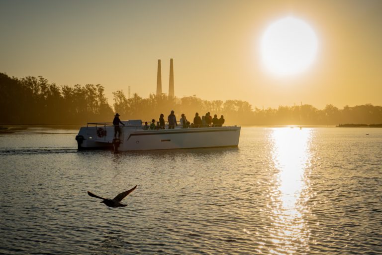 eco tours elkhorn slough