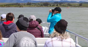 Passengers aboard the El Cat enjoy a clean and quiet ride, witnessing the incredibly beauty and diverse wildlife in Elkhorn Slough