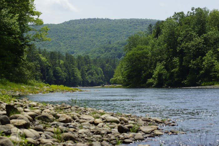 Home | Adirondack River Trips