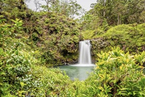 Pua’a Ka’a State Park Waterfalls