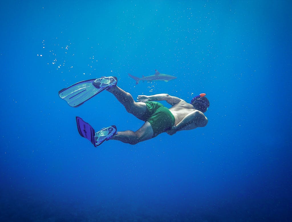best snorkeling spots in kona