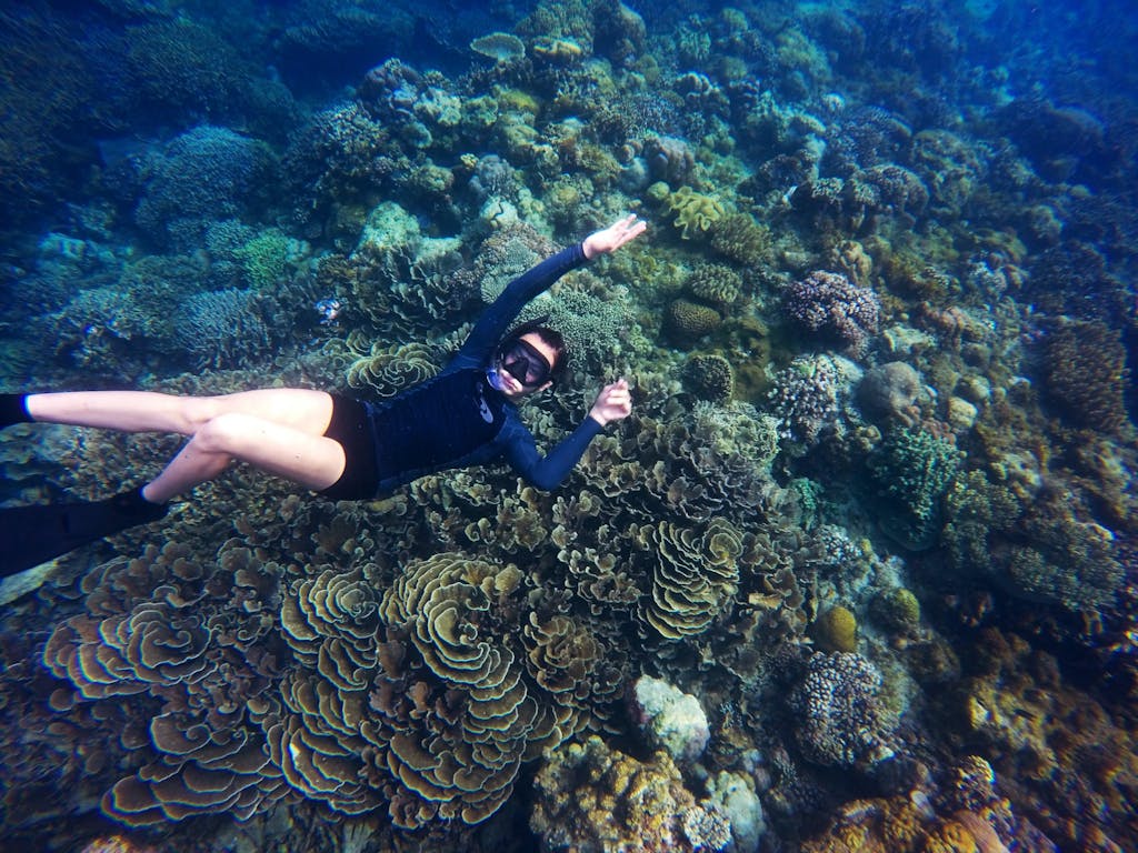 Reef Snorkeling Near Me In Kona 11