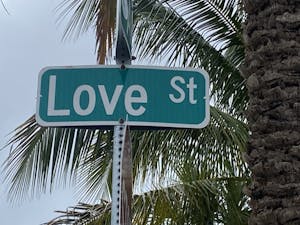 a close up of a street sign in front of a palm tree