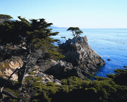 Monterey Carmel California Coastline Tour Tower Tours