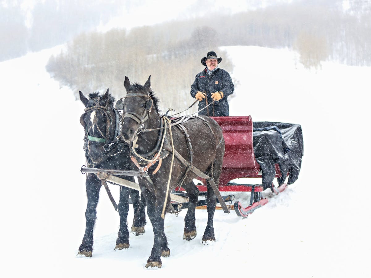 snowed inn sleigh ride