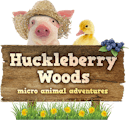 Huckleberry Woods