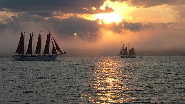 sunset sailing from Bar Harbor