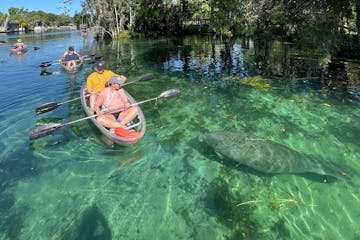 Clear Kayaking Ecotour of Crystal River, Florida
