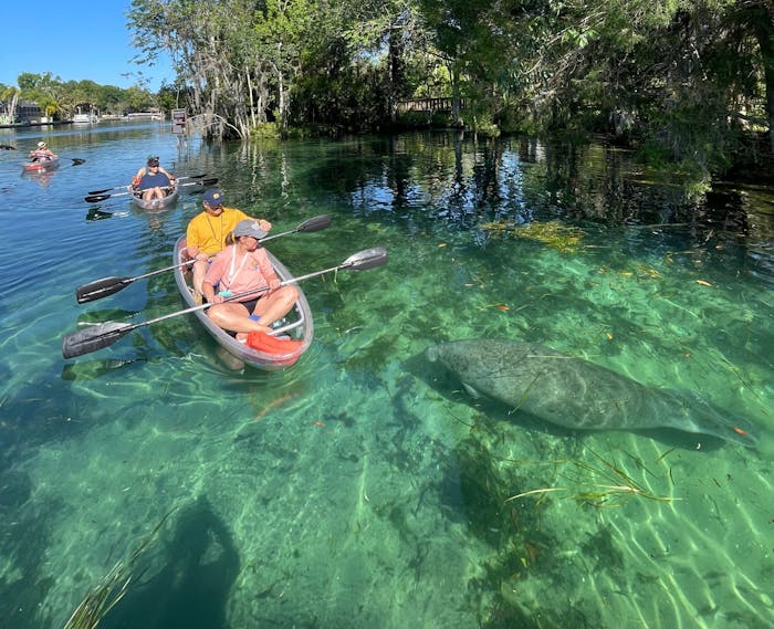 Clear Kayaking Ecotours