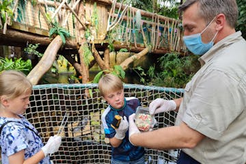 Zoo Keeper Experience - Plantasia