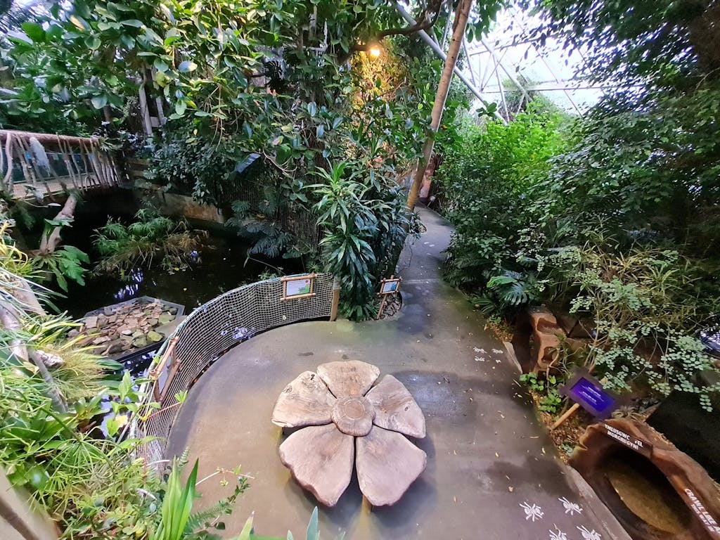 A view of the pond area from the bridge inside Plantasia Tropical Zoo