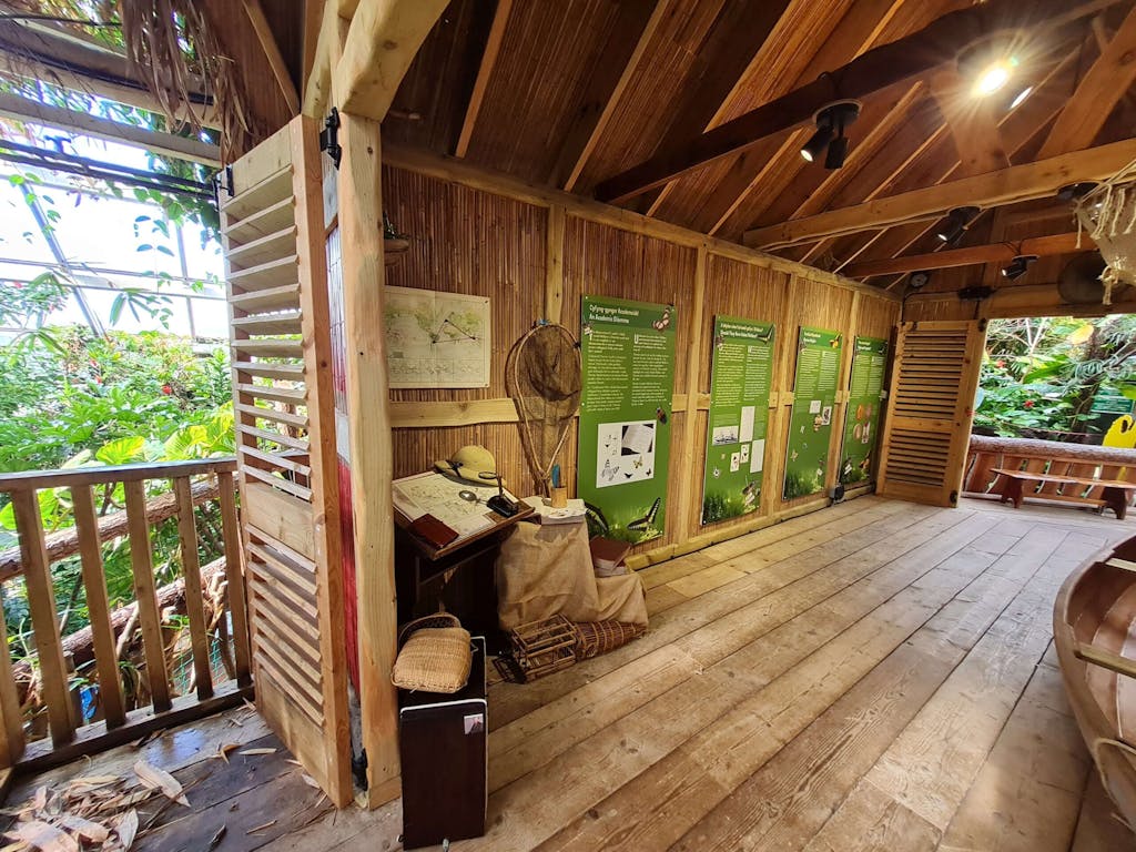 a view of an amazonian tree house and balcony filled with artefacts from the Alfred Russel Wallace exhibition
