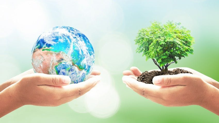 An image of hands holding planet earth and hands holding a tree for World Earth Day