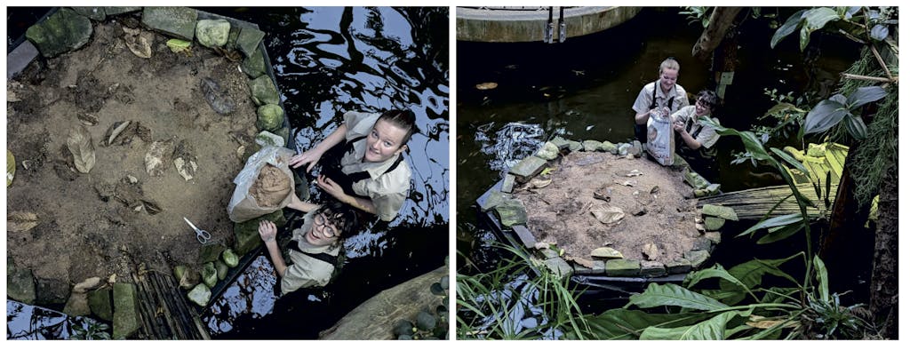 2 images of 2 zookeepers in waders standing in a pond, looking to camera