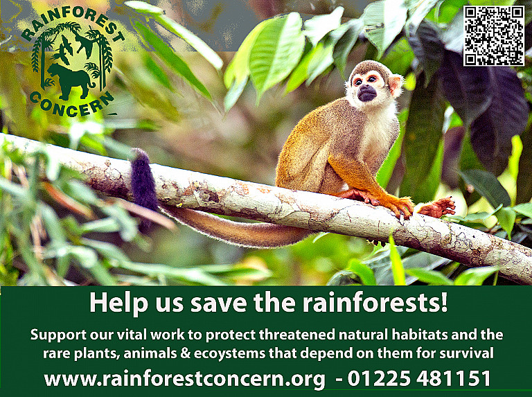 Supporting Rainforest Conservation With Plantasia Tropical Zoo ...