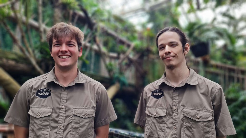 two young male year-in-industry students from Swansea University looking to camera in a jungle background