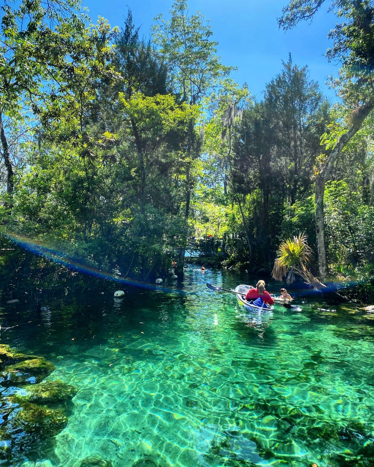 Kayaking in Crystal River