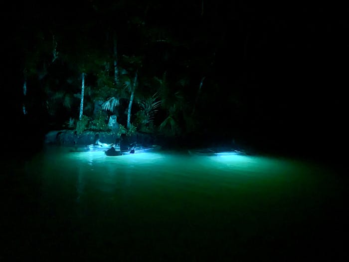 Weeki Wachee Nightime Kayak Ecotour | Get Up and Go Kayaking