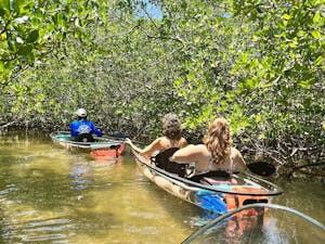 Don Pedro Island, Fl Clear Kayak Tours | Get Up And Go Kayaking
