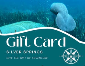 Give the gift of adventure